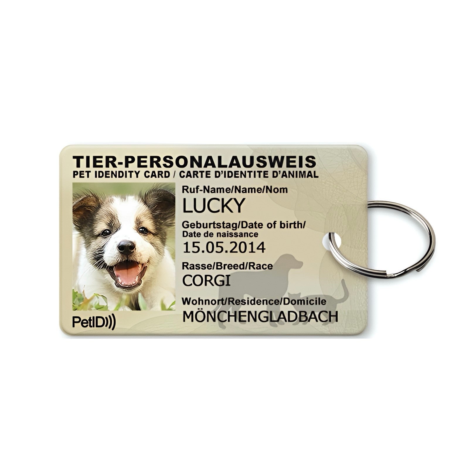 Tier-Personalausweis mit Bild, Namen, Nummer, Rasse und Adresse